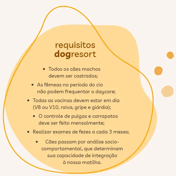 Requisitos Daycare DogResort